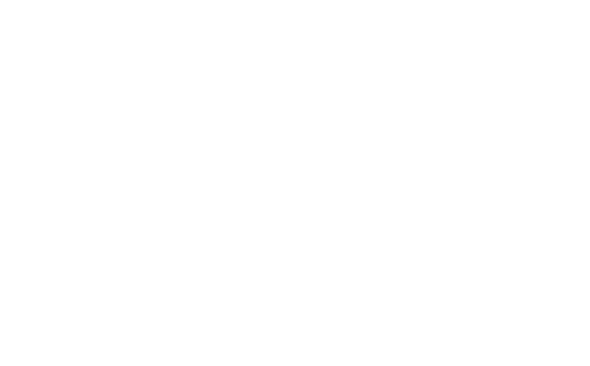 大阪河内乃国を愛し