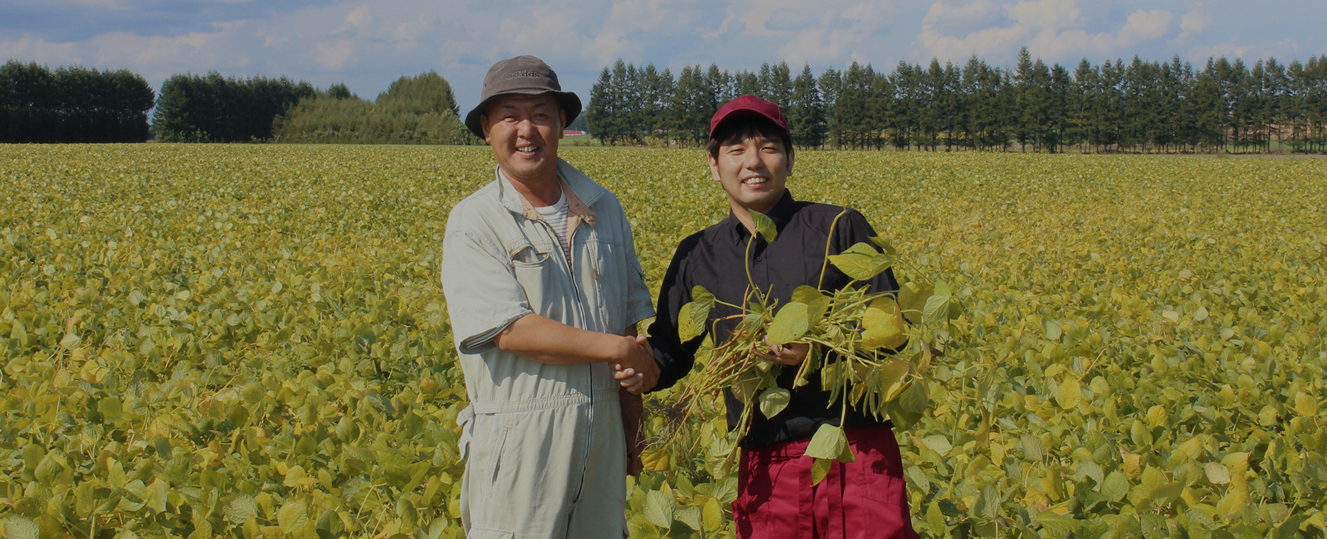 河内乃国菓房　菓匠庵　白穂