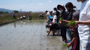 田植え４